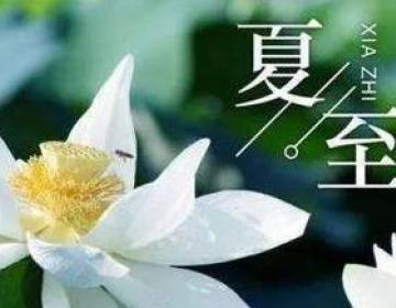 夏至