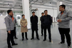 自治区工信厅胡瑞芬副厅长调研国家稀土功能材