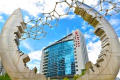 北方稀土召开2023年上半年经营活动分析会研究部